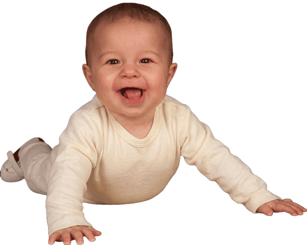 Banner-/Posting-Generator Wien